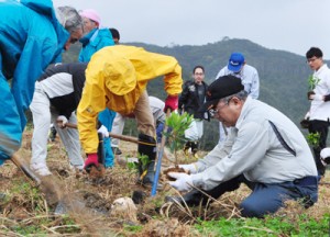 シャリンバイの苗木を植えた植樹祭＝１８日、宇検村湯湾の赤土山