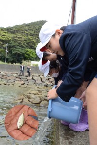 シマアジを放流する住用小児童たち（円内はシマアジの稚魚）＝１４日、奄美市住用町山間