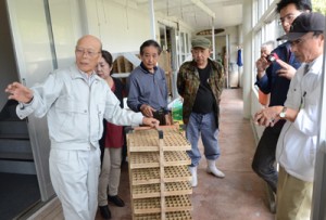 カイコの飼育方法をアドバイスする齋藤さん（左）＝２１日、龍郷町