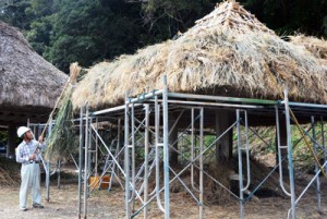 屋根のふき替え作業が大詰めを迎えた高倉＝３日、大和村大和浜の群倉