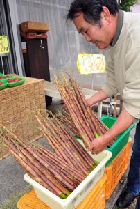 青果店の店頭に並ぶ「ダーナ」 ＝１２日、奄美市名瀬