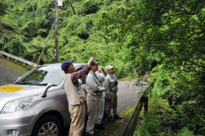 モダマの自生地をパトロールする監視員＝２５日、奄美市住用町