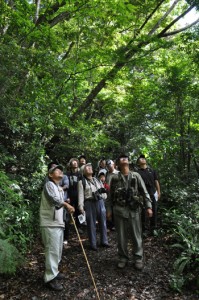 金作原であった探鳥会＝１５日、奄美市名瀬 