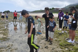 海の生き物を観察した参加者ら＝１５日、徳之島町母間海岸