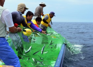 伝統漁法「ロープ引きトビウオ漁」の復活に向けて行われた試験操業
