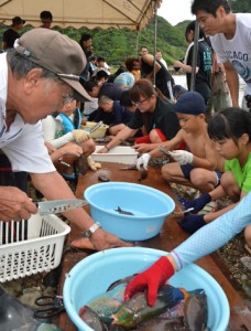 地元住民に教わりながら魚をさばく児童ら＝１２日、奄美市名瀬の有良海岸