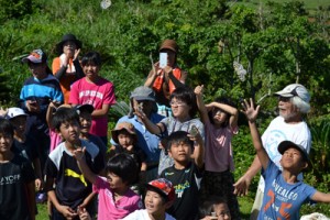 オオゴマダラを放す子どもたち＝１９日、与論町琴平神社