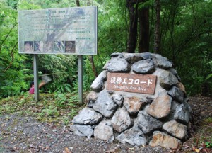 役勝川を気軽に楽しめるように整備された観光看板＝２６日、住用町役勝エコロード沿い