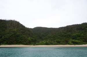 ロイヤル・カリビアン社による開発計画が浮上している龍郷町芦徳の西原半島