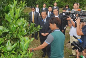 果樹園を視察し、農家と意見交換する森山農水大臣（中央）＝１５日、奄美市名瀬