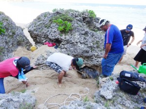 ウミガメ救出作戦を展開する島キャン生ら＝１４日、和泊町与和浜（提供写真）