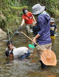 水中メガネや網を持って川に入る親子＝８日、奄美市住用町の川内川