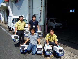 県本土の動物病院へノネコ７匹を送った関係者ら＝１３日、徳之島町の亀徳新港