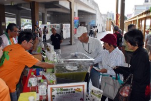 シマ桑青汁の試飲も人気を集めた桑の日フェスタ＝２４日、鹿児島市のドルフィンポート