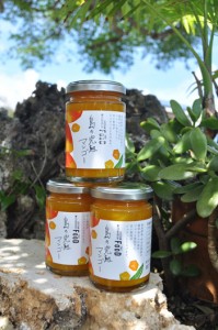 三越伊勢丹ブランド商品として発売開始された東マンゴー園製造のマンゴージャム＝１５日、和泊町出花