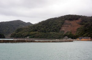 採石事業が計画されている湯湾釜、津名久両集落間の山林＝２１日、大和村 