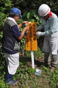 看板を設置する徳之島虹の会のメンバーら＝４日、徳之島町