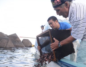 スジアラを放流する名瀬地区漁業集落のメンバー＝２７日、奄美市の名瀬近海