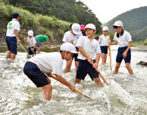 リュウキュウアユが産卵しやすいように川底を整える児童ら＝１８日、奄美市住用町の役勝川