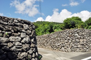 喜界町阿伝集落に残るサンゴ石垣の景観