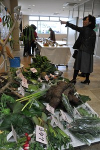 地場産農産物を使ったヘルシー料理の展示もあった産業・食の文化祭＝２３日、伊仙町