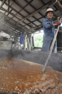 新黒糖の製造が始まり甘い香りに包まれた徳南製糖の工場＝２２日、伊仙町犬田