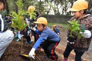 宇宿小学校の子どもたちが海の環境保全につながる森の大切さなどを学んだ植樹祭＝１０日、奄美市笠利町の大瀬公園