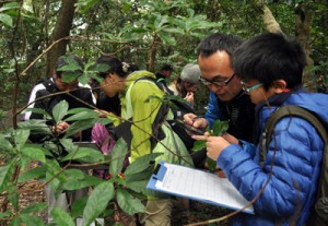 スマートフォンのデジタル図鑑を片手に植物の名前を探す参加者＝２４日、龍郷町の奄美自然観察の森