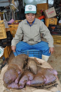 ２５㌔のヤマイモと生産者の児玉さん＝２７日、和泊町大城