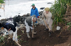 住民の証言を基に、掘削作業を進める厚労省や大和村教委職員ら＝３１日、大和村戸円