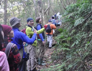 奄美の森の植物を観察する参加者＝２日、湯湾岳