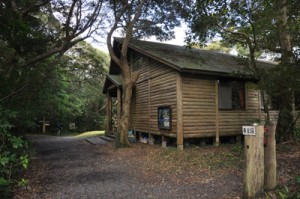 再整備される奄美自然観察の森の「森の館」＝１５日、龍郷町