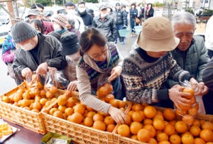 タンカンを袋詰めする買い物客らでにぎわった直売会＝４日、鹿児島市のおいどん市場与次郎館