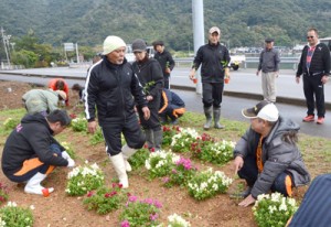 協力して花苗を植え付ける参加者＝１日、瀬戸内町久慈