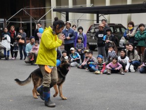 公開されたマングース探索犬の訓練＝１２日、大和村