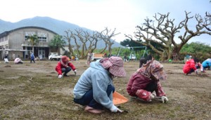 雨の中、準備作業に精を出す住民ら＝１９日、池地小中学校