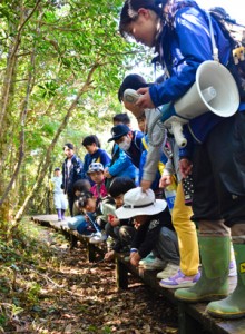 湯湾岳フィールドワークで植物の説明を受ける児童生徒ら＝４日、湯湾岳の大和村側登山道