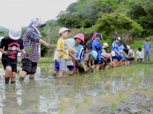 阿室老人会のお年寄りと田植えに精を出す児童ら＝８日、阿室小中