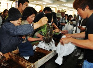 イセエビなど海産物を求めて大勢の買い物客が訪れた「新鮮なお魚まつり」＝２３日、奄美市名瀬の名瀬漁協