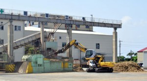 豊作が見込まれる沖永良部島の南栄糖業＝２４日、和泊町　