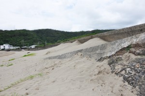 護岸を覆う勢いの浜砂＝２４日、龍郷町秋名集落の海岸