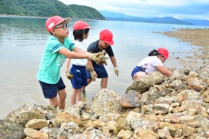 伝統の「垣起こし」を体験する薩川小の児童たち＝３０日、瀬戸内町加計呂麻島の木慈集落