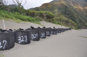 侵食を防ぐための土のうが並ぶ嘉徳海岸＝３月、瀬戸内町