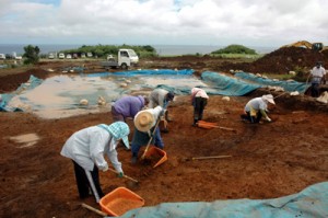 城久遺跡群の大ウフ遺跡発掘作業＝２００９年１０月、喜界町山田 