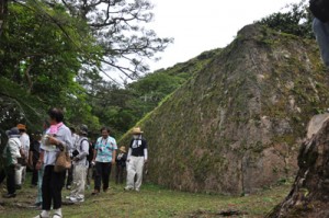 豪農が建てた巨大な石垣を見物する参加者ら＝１１日、龍郷町秋名