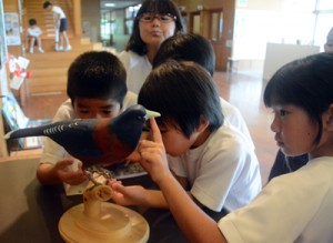 畠野さんが制作したルリカケスの彫刻に興味津々の児童＝２９日、田検小学校