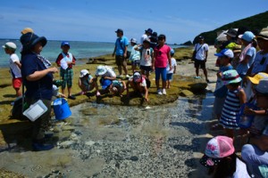 浅瀬で海の生き物を観察する「ふしぎ探究塾」の受講者＝２２日、奄美市名瀬大浜海浜公園