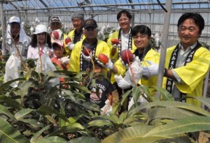 紅色に熟したマンゴーを手に収穫を祝う関係者ら＝２６日、徳之島町亀津