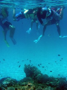 「ケラマブルー」と呼ばれる慶良間諸島の海の中を観察したこども環境調査隊の活動３日目＝２７日、渡嘉敷島