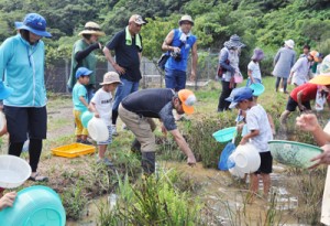 水辺の生き物を観察する子どもら＝３０日、奄美市名瀬の大川ダム